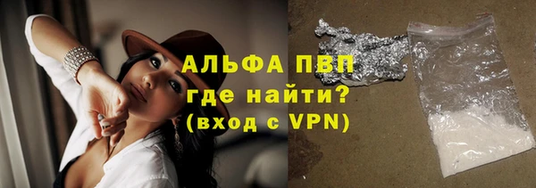 стаф Алексин