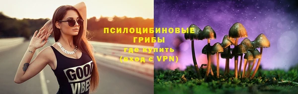 молекула духа Алексеевка