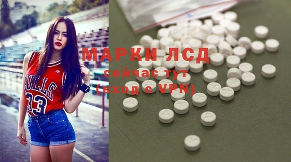 стаф Алексин
