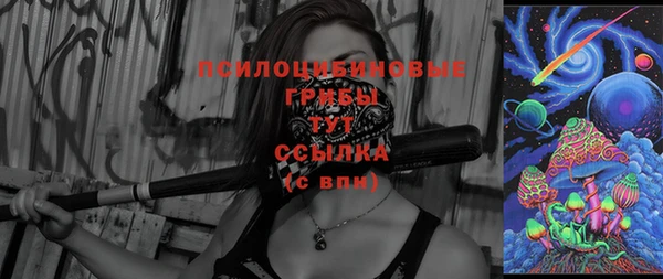 молекула духа Алексеевка