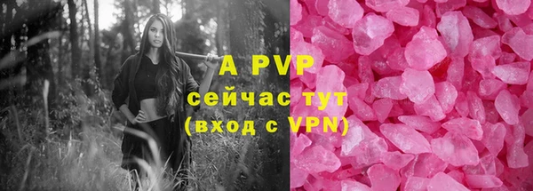стаф Алексин
