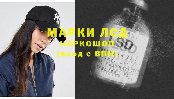 стаф Алексин