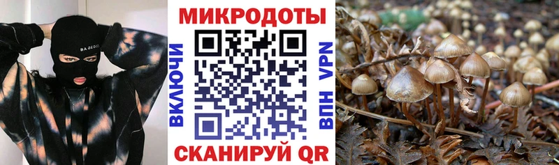 Галлюциногенные грибы GOLDEN TEACHER  закладки  Шуя 
