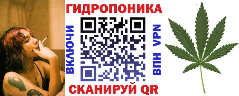 Бошки Шишки ГИДРОПОН  Шуя 